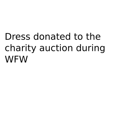 Dress donated to the charity auction during WFW
